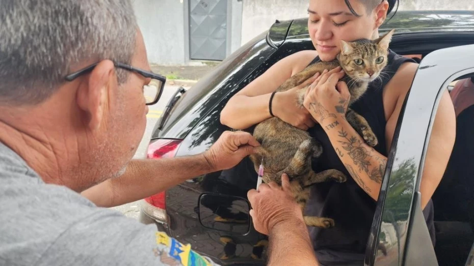 Prefeitura de Taubaté realiza vacinação antirrábica de cães e gatos no Marlene Miranda