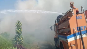 Defesa Civil combate queimada e evita que fogo atinja residências no Imaculada Conceição