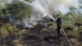 Defesa Civil de Taubaté combate incêndio em área de vegetação na região de Quiririm