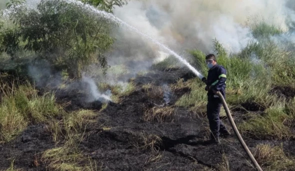 Taubaté: Defesa Civil de Taubaté combate incêndio em área de vegetação na região de Quiririm
