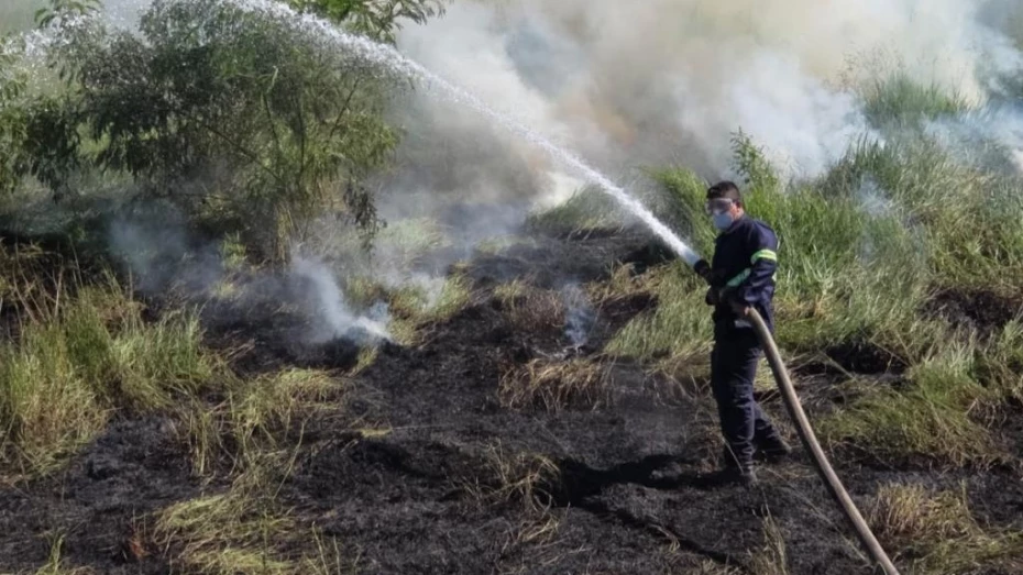 Defesa Civil de Taubaté combate incêndio em área de vegetação na região de Quiririm