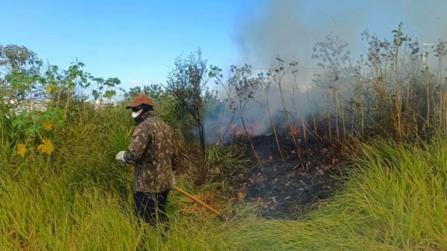 Queimada de grandes proporções entre Jardim do Lago e Estoril mobiliza agentes da Defesa Civil e Bombeiros