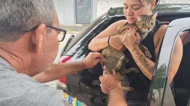 Prefeitura realiza vacinação antirrábica de cães e gatos no Parque São Luiz