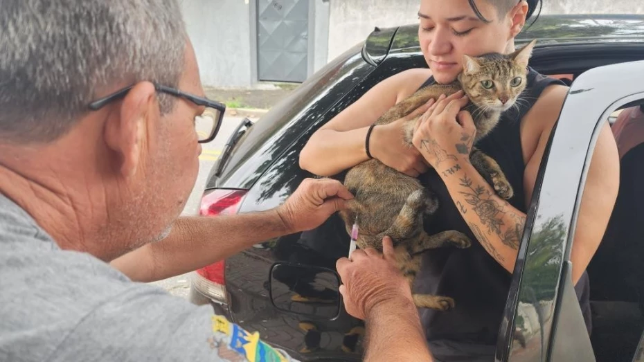 Prefeitura realiza vacinação antirrábica de cães e gatos no Parque São Luiz