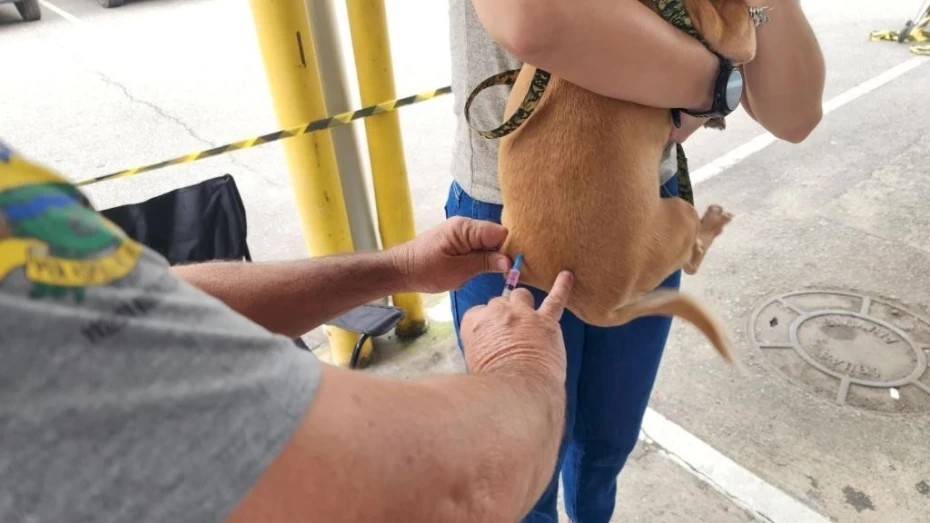 Prefeitura realiza vacinação antirrábica de cães e gatos na Vila São Carlos