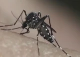 Homem de 54 anos é a terceira morte por dengue em Taubaté