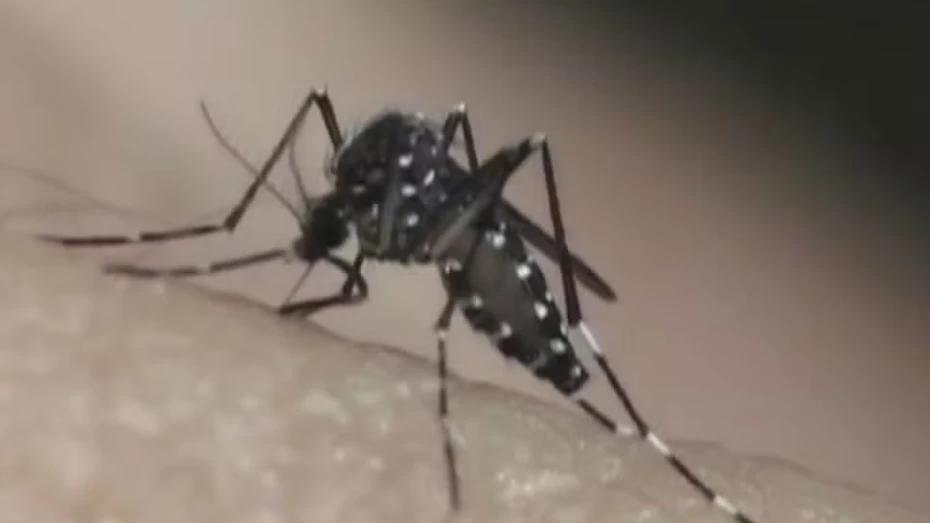 Homem de 54 anos é a terceira morte por dengue em Taubaté