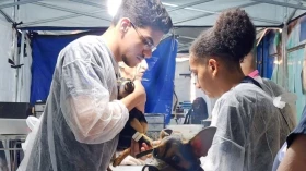 Castra Mais SP traz castrações gratuitas de cães e gatos para Taubaté