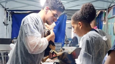 Castra Mais SP traz castrações gratuitas de cães e gatos para Taubaté