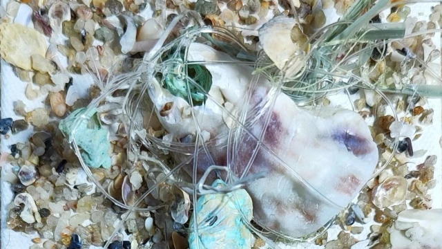 Exposição em Taubaté reúne obras feitas com resíduos recolhidos em praias brasileiras