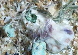 Exposição em Taubaté reúne obras feitas com resíduos recolhidos em praias brasileiras
