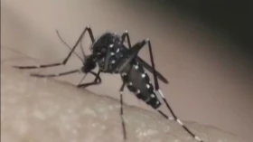 Taubaté confirma 10ª morte por dengue em 2026