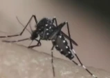 Taubaté confirma 10ª morte por dengue em 2026