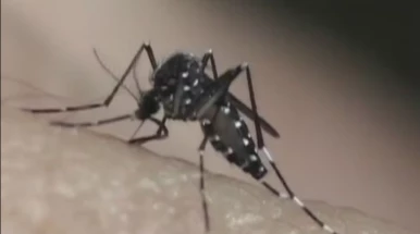 Taubaté confirma 10ª morte por dengue em 2026