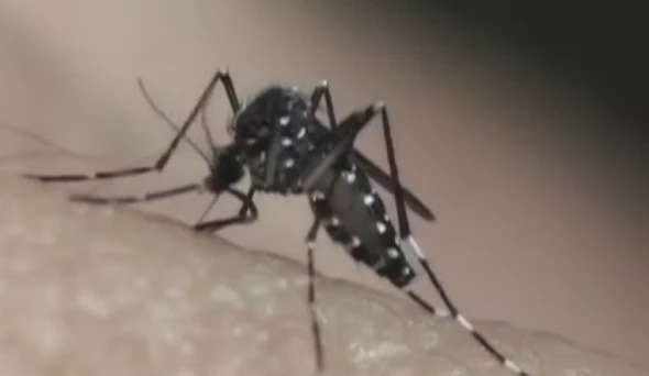 Taubaté: Taubaté confirma 10ª morte por dengue em 2026