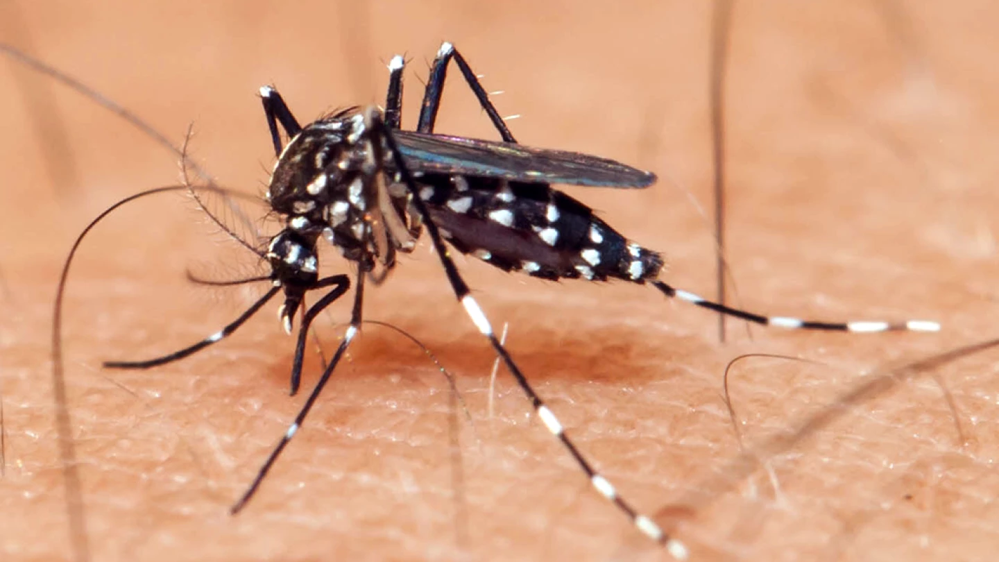 Taubaté confirma 11ª morte por dengue e Vale do Paraíba chega a 17 óbitos em 2026