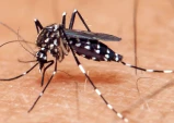 Taubaté confirma 11ª morte por dengue e Vale do Paraíba chega a 17 óbitos em 2026