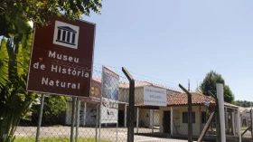 Museu de História Natural de Taubaté realiza noite de observação da Lua nesta sexta (31)