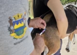 Prefeitura de Taubaté realiza vacinação antirrábica de cães e gatos no Jardim Resende nesta quarta (12)