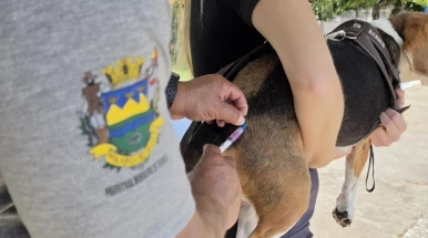 Prefeitura de Taubaté realiza vacinação antirrábica de cães e gatos no Jardim Resende nesta quarta (12)