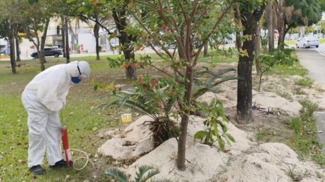 Prefeitura aplica formicida e reforça controle de roedores em praças e espaços públicos de Taubaté