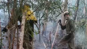 Defesa Civil de Taubaté controla incêndio no Parque do Itaim após mais de seis horas de combate às chamas