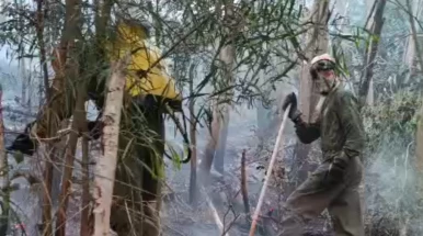 Defesa Civil de Taubaté controla incêndio no Parque do Itaim após mais de seis horas de combate às chamas