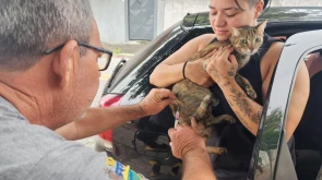 Taubaté: Prefeitura realiza vacinação antirrábica de cães e gatos no Jardim Ana Rosa nesta quarta-feira (2)