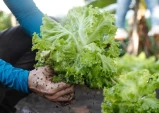 Taubaté lança programa voltado à alimentação de gestantes e crianças de até 6 anos