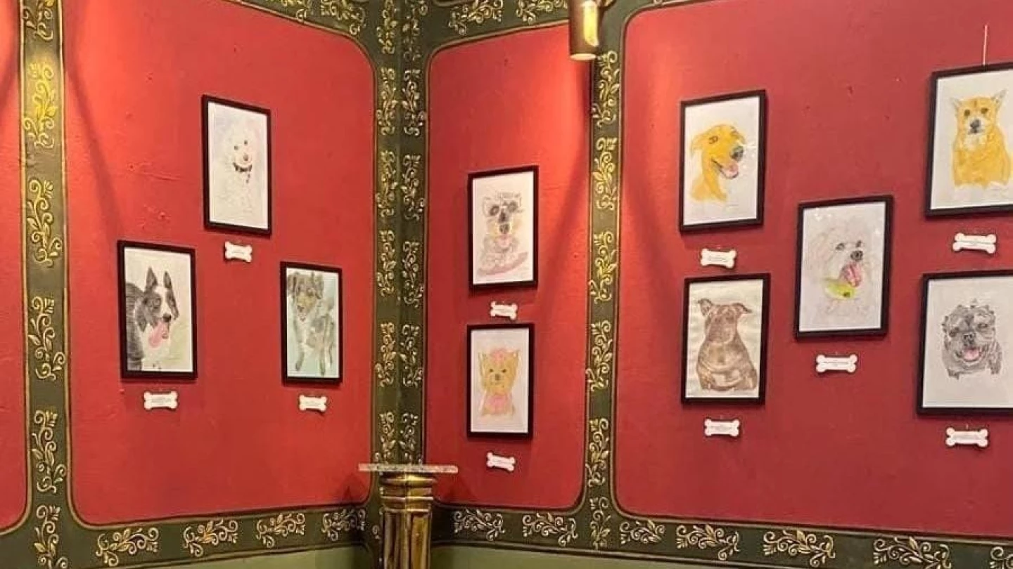 Centro Cultural Toninho Mendes de Taubaté recebe exposição que une arte e causa animal