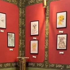 Taubaté: Centro Cultural Toninho Mendes de Taubaté recebe exposição que une arte e causa animal