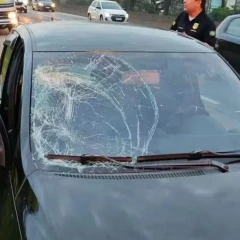 Taubaté: Motorista atropela três romeiros na Dutra e é preso por embriaguez ao volante em Taubaté