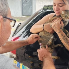 Taubaté: Prefeitura realiza vacinação antirrábica de cães e gatos na região da Vila São Geraldo