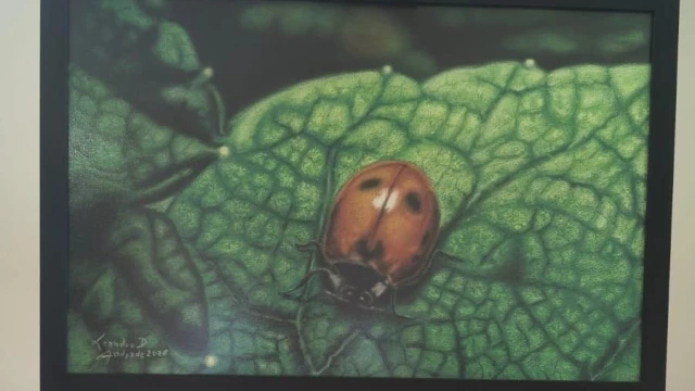 Exposição gratuita reúne obras inéditas sobre a comunicação da floresta em Taubaté