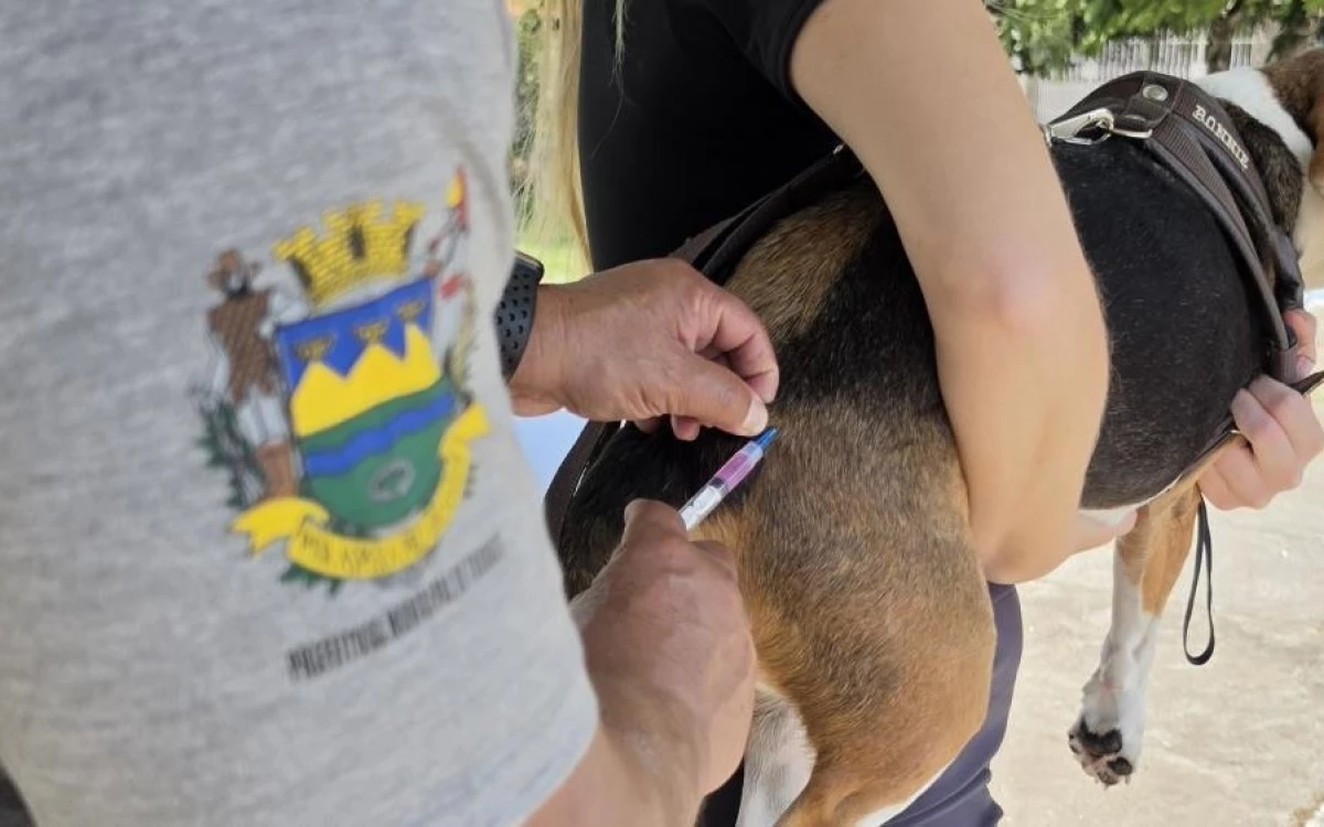 Taubaté: Prefeitura de Taubaté realiza vacinação antirrábica de cães e gatos na região do Água Quente