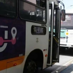Taubaté terá transporte coletivo municipal gratuito no segundo turno das Eleições 2026
