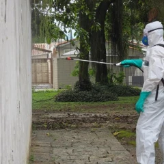 Taubaté: Taubaté começa a usar inseticida com efeito residual contra o Aedes aegypti