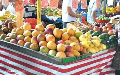 Foto de Mercado Municipal