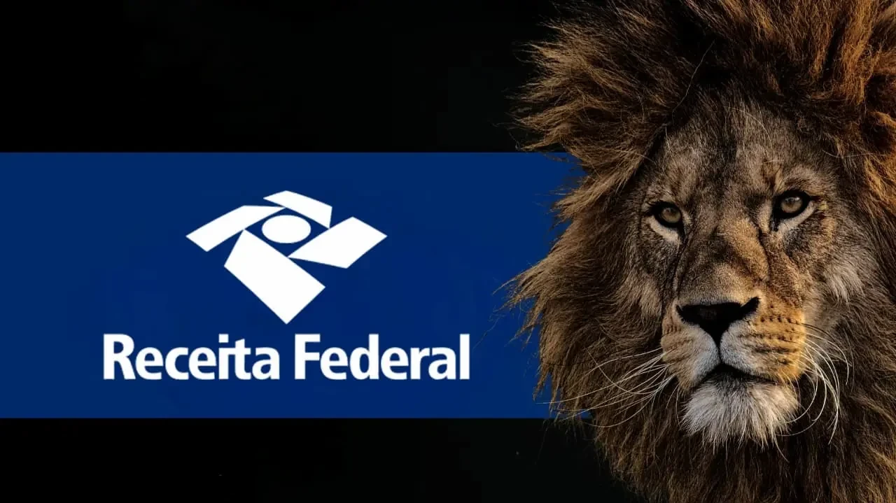 Taubaté: MEI precisa declarar Imposto de Renda em 2026? 