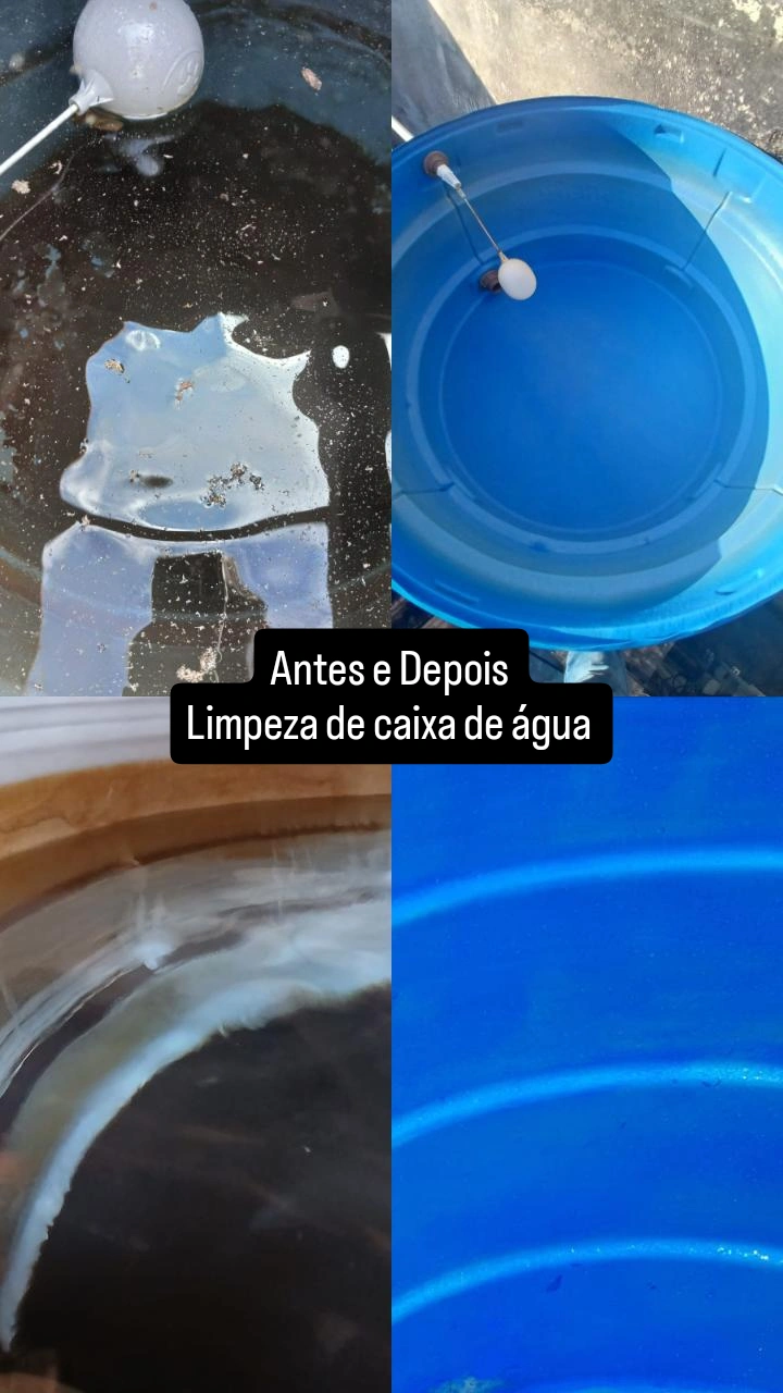 Foto de Kombat Controle de Pragas Dedetizadora