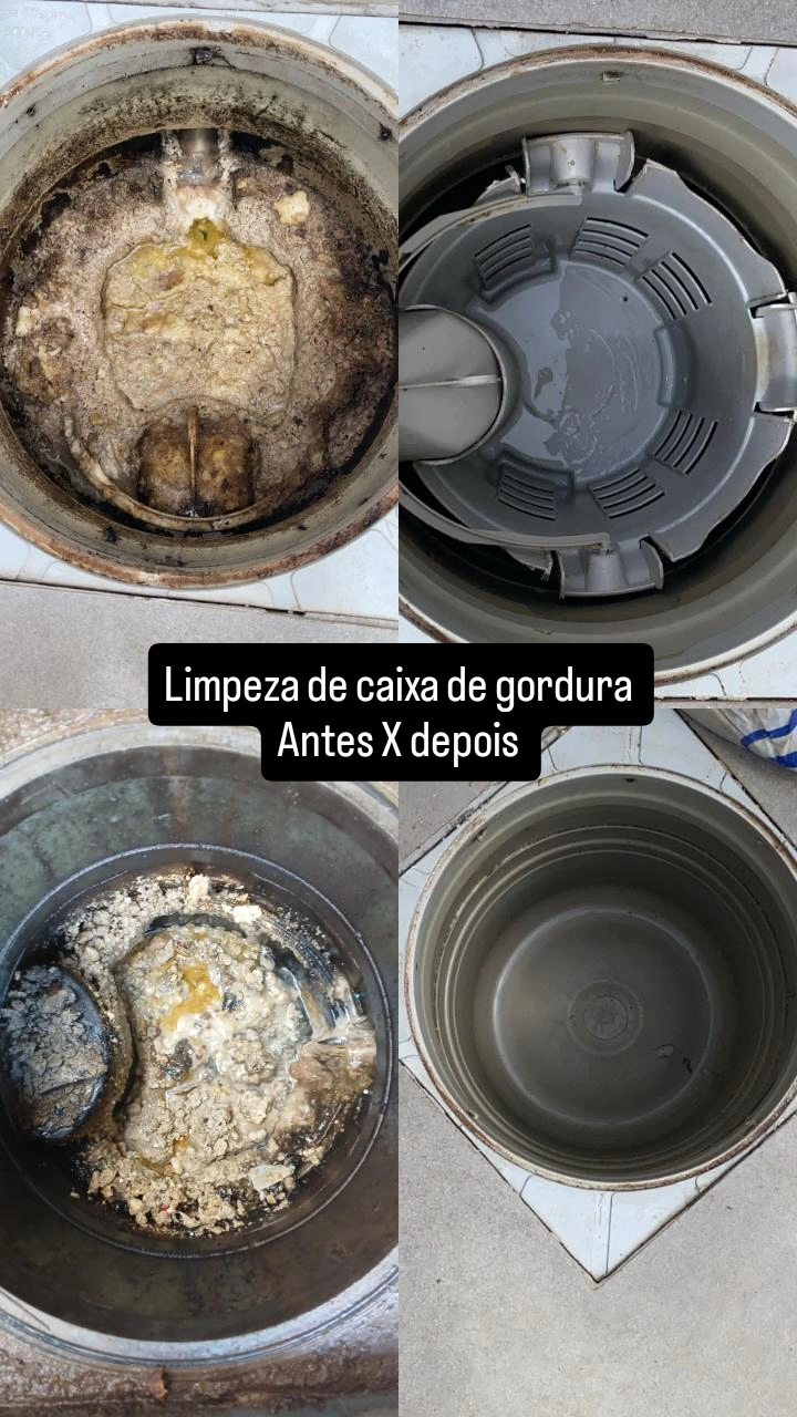 Foto de Kombat Controle de Pragas Dedetizadora