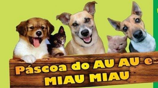 5ª CÃOcientização pela vida