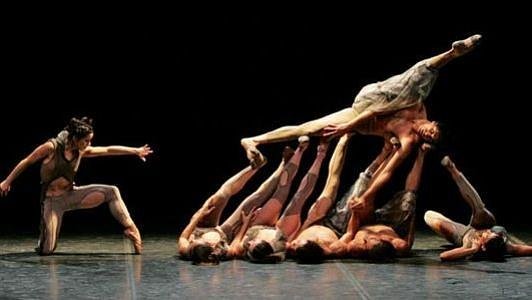 Cisne Negro Cia de Dança
