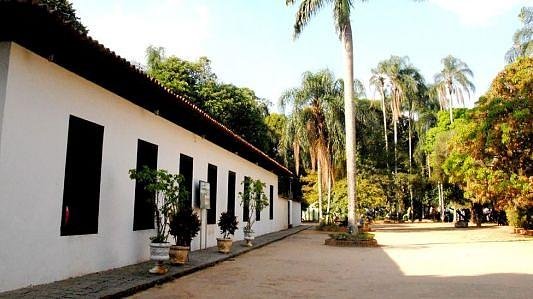 Mês do Folclore - Museu Monteiro L