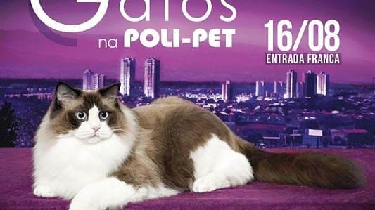 2ª Exposição Internacional de Gatos 