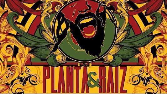 Show - Planta e Raiz
