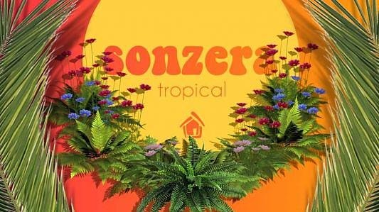 Sonzera tropical 