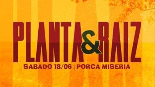 Planta & Raiz