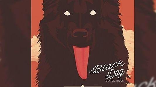 Black Dog