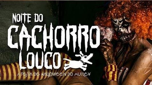 Noite do cachorro louco